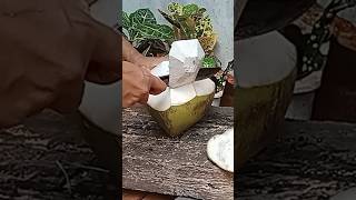 Fresh coconut water super coconut cutting skills coconutmilk coconutsatisfyingfoodskillsfruit [upl. by Tannenbaum90]