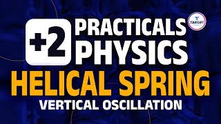 Plus Two Physics Practicals  Helical Spring  Vertical Oscillation  Target Learning App [upl. by Shepp]