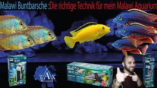 Malawi Buntbarsche  Die richtige Technik für mein Malawi Aquarium  TAX [upl. by Bari]