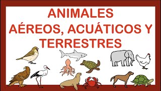 ANIMALES TERRESTRES 🐖ACUÁTICOS 🐠y AÉREOS 🐝ARASAAC [upl. by Schwitzer]