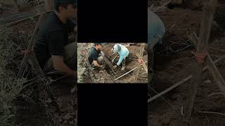 Membuat Kabin Di Atas Gunung  Pasang Besi Pondasi Di kabinkebunku buildcabin [upl. by Pattin237]