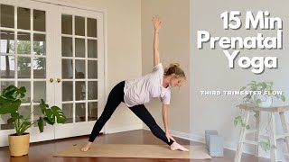 Third Trimester Prenatal Yoga  15 Minute Practice [upl. by Laufer]