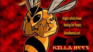 The Pure Energy Transmissions Conscious HipHop Podcast Episode 6 WuTang Killa Bees [upl. by Sil]