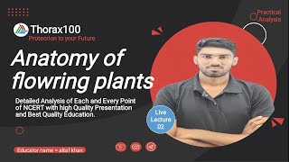 Anatomy of flowering plants Lecture 02 for Class 11 amp NEET Thorax100 [upl. by Normie]