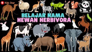 BELAJAR NAMA HEWAN PEMAKAN TUMBUHAN INDONESIA  INGGRIS  HERBIVORED ANIMALS NAME  HEWAN HERBIVORA [upl. by Akimas]