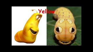 CHuchu Larvas en la vida real  Larva 2017 [upl. by Essy]