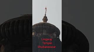 Bhubaneswar lingaraj Templehindufestival travel viralvideo [upl. by Hubie570]