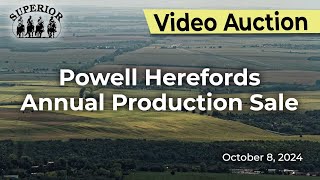 Powell Herefords Annual Production Sale [upl. by Rutter]