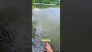 how to fish with simple tools but get a lot 🎣🐟 fishing fish funny shorts buzzbliss [upl. by Miza]