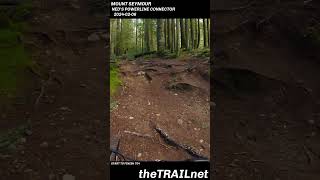 Mount Seymour Trail Neds Powerline Connector mtb mountainbike mtblife [upl. by Jecon]