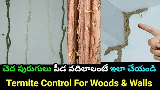 చెదలు పోవాలంటే ఇలా చేయండి  Chedalu Nivarana In Telugu  Pest Control  Insects  Termite Control [upl. by Brad]