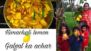 Instant Galgal🍋🍋 ka khata meetha achar Indian Traditional hill Lemon Picklevery yummy easy recipe [upl. by Edwyna3]