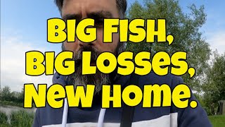 Big Fish Big losses New home [upl. by Alisander]