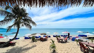 Livestream 🔴 Black pearl restaurant Koh Samui Lamai beach  Live on the beach [upl. by Aerdnua]