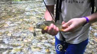 Fishing the rivers in Chamonix [upl. by Rains]