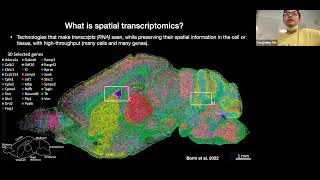 W31 Spatial Transcriptomics – Day 1 [upl. by Lemra]