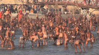 Best of Allahabad Kumbh mela  Worlds largest religious gathering [upl. by Maharba]