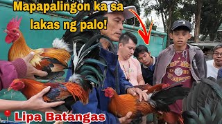 Episode 50 Bentahan ng Manok sa Lipa Batangas [upl. by Budde]