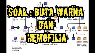 Soal Buta Warna dan Hemofilia HOTS Kelas 12 [upl. by Nivahb210]