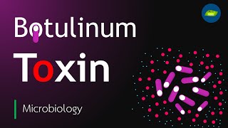 Botulinum Toxin  Botulism toxin  Clostridium botulinum  Basic Science Series [upl. by Anurb829]