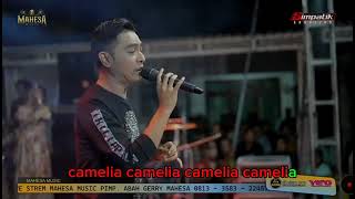 CAMELIA KARAOKE VERSION  GERRY MAHESA FT MAHESA MUSIC [upl. by Ylam]