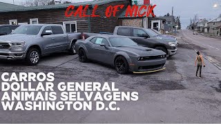 PREÃ‡O DE CARROS NOS ESTADOS UNIDOS  DOLLAR GENERAL  ANIMAIS SELVAGENS  WASHINGTON DC [upl. by Esiuole]