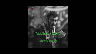 Tasbihat e Zahra Slowed Reverb nasheed noha viralvideo Zufyareverb sad sades fyp [upl. by Goer498]