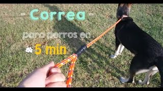 Correa para perro en 5 minutos [upl. by Enilrahc]