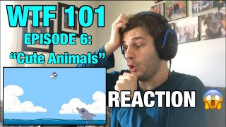 “Cute Animals”  WTF 101 Episode 6 Full Episode  REACTION 😱 [upl. by Everara]