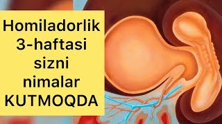 Bolajoningiz 3 haftaligida sizni nimalar kutyapti [upl. by Ainahs]