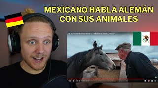 🇩🇪 Alemán Reacciona a Pueblo Mexicano donde se HABLA EN ALEMAN 🇲🇽 Parte 2 [upl. by Bromleigh867]