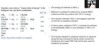 Unit 6 Bioenergetic Lecture 1 Fall 2024 [upl. by Avad999]