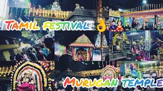 Coimbatore murugan festival 🎎🥮 South Indian festival 👌👌 Mistu72 video youtube vlog vlogs [upl. by Pang]