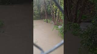 Wildcat Creek And Trail richmond creek california nature rain shorts [upl. by Anoyek]