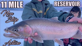 NONSTOP ACTION  Ice Fishing ELEVEN MILE RESERVOIR and Catching INSANE amount of TROUT [upl. by Eltrym415]