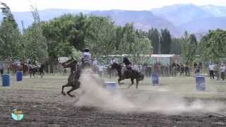 Zaigua  Gauchos y destrezas criollas [upl. by Bozuwa]