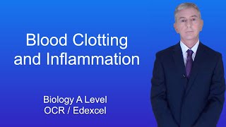 A Level Biology Revision quotBlood Clotting and Inflammationquot [upl. by Akimed]