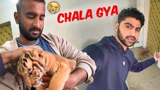 Tiger Ko Wapis kr Dia Reply To Haters [upl. by Orodoet]