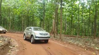 Form Ghana Teak plantation  Sep 2022 [upl. by Ahsiner133]