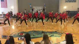 Junior Varsity Pantherettes 2016 Homecoming Performance [upl. by Deborah]