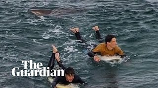 Surfer escapes shark attack at Bells Beach Australia [upl. by Meuser]