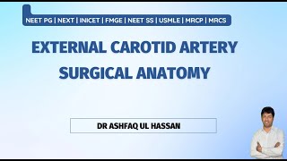 External Carotid Artery  Angiology for NEET PG  FMGE INICET [upl. by Marci]