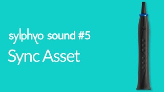 Sylphyo Sounds 5  Sync Asset [upl. by Rialb]