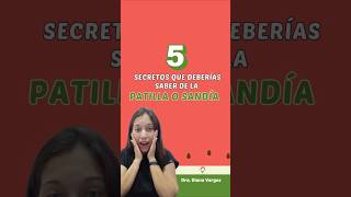 5 beneficios de la sandia o patilla que deberías conocer 🍉 [upl. by Otila]