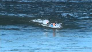 Surfer fights off shark with punches and kicks [upl. by Sello]