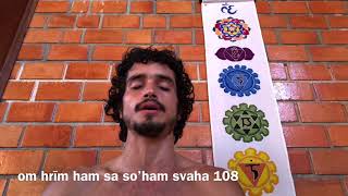 oM hrIM hamsaH soham svAhA 108 anahata chakra mantra  oṃ hrīṃ hamsaḥ soham svāhā [upl. by Ttayw432]