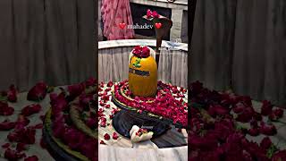 Har har Mahadev reel love mishaan wedding mishaa devotionalsong song misha harharmahadevso [upl. by Wilburt580]