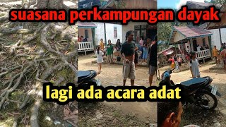 mukbang di perkampungan dayak kalimantan barat [upl. by Leroy798]