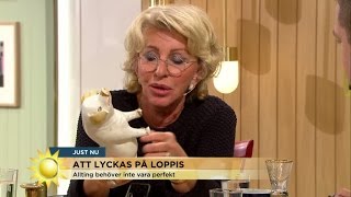 Så lyckas du på loppis  Nyhetsmorgon TV4 [upl. by Remle]