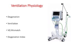 Ventilation physiology I Neonatologist I NICU I [upl. by Aneehsyt]